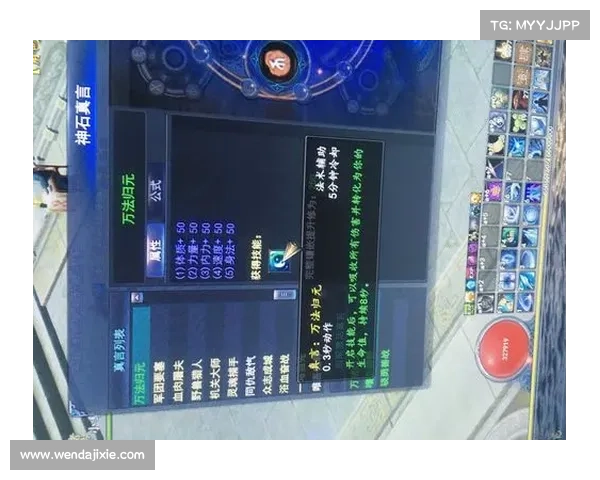 武魂玄冰加点策略与注意事项全面解析 武魂玄冰加点策略与注意事项全面解析