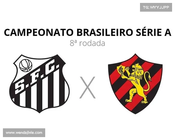 从中场核心到战术枢纽全面解析莫塔在球队体系中的关键作用