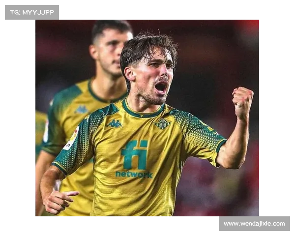 桑切斯职业生涯效力过的球队盘点及转会历程回顾